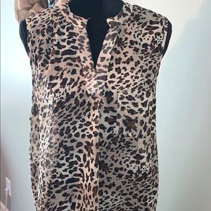 Women’s sheer short sleeve blouse